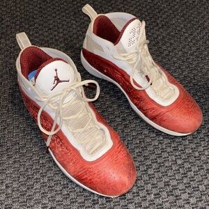 Jordan 11 All Star West - Size 11.5